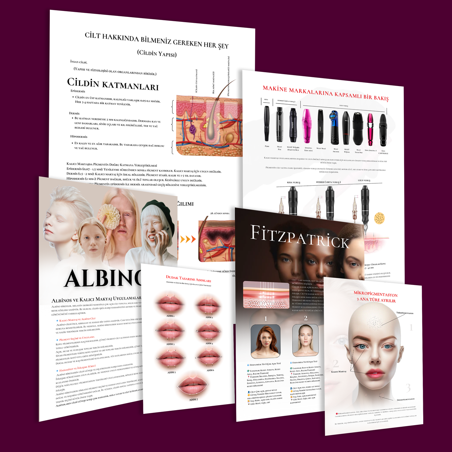 Permanent Make up Mastery