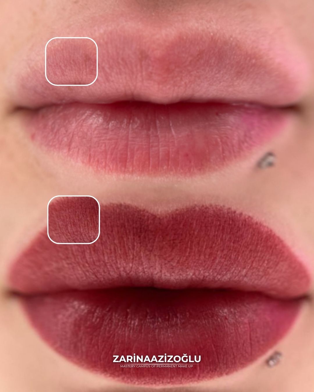 ONLINE CLASS – DUDAK RENKLENDİRME