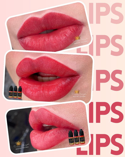 ONLINE CLASS – DUDAK RENKLENDİRME